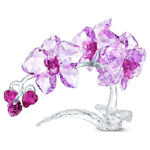 Swarovski figur Crystal Flowers Orchid - 5520373