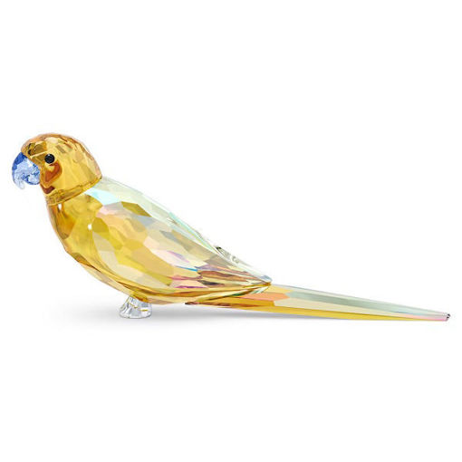 Swarovski figur Jungle Beats Yellow Parakeet Lechee - 5619217