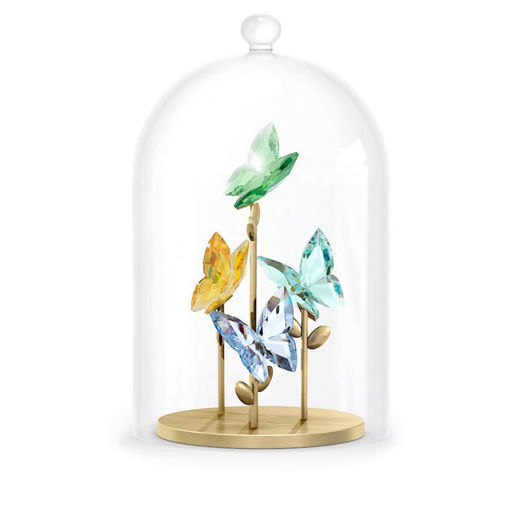 Swarovski figurer Jungle Beats Butterfly Bell Jar - 5619219