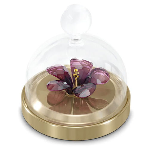Swarovski figurer Garden Tales Hibiscus Bell Jar - 5619224