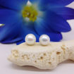 Perleøredobber med Akoya perler 7,5-8 mm lås i 14 kt gull - 22551