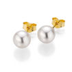 Perleøredobber med Akoya perler 8-8,5 mm lås i 14 kt gull - 22552