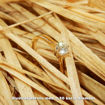 Diamantring forlovelsesring 1 ct i 14kt gull. Diona - 18001100
