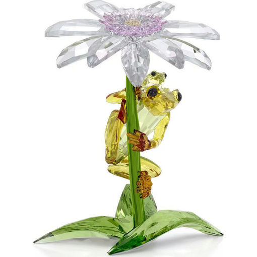 Swarovski figurer Idyllia Frogs and Flower - 5670892