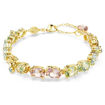 Swarovski armbånd Gema Tennis bracelet Mixed cuts, Multicolored, Gold-tone plated - 5705808