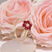 Diamantring med rubin og diamanter 0,03 ct W-Si - bur615219g