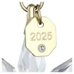 Swarovski figurer Annual Edition 3D Ornament 2025 - 5701506