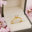 Forlovelsesring Margrete med Oval Lab Grown diamant i 0,50 ct og River (D) -VS1 - LAB1611650RVGU