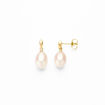 Øredobber i gult gull 14kt med ferskvannperler - Bur711148