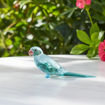 Swarovski figurer Jungle Beats Blue Parakeet Paco - 5574519