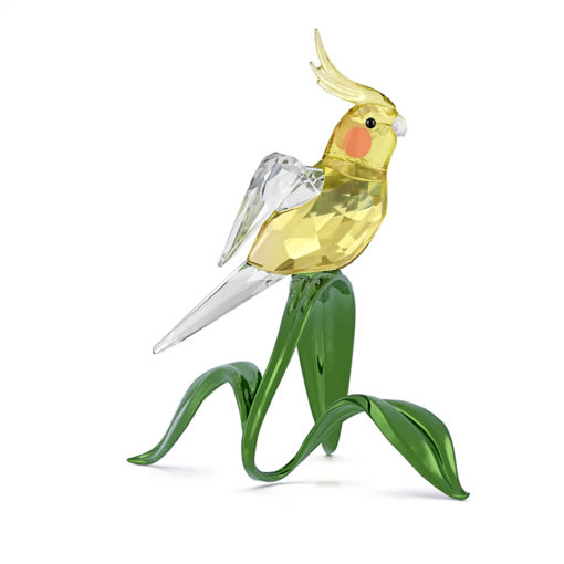 Swarovski figurer Idyllia Cockatiel - 5721544