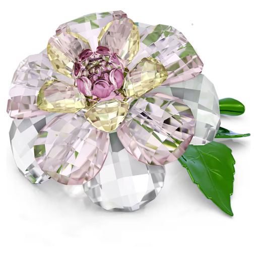 Swarovski figurer Florere Camellia - 5721538