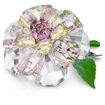 Swarovski figurer Florere Camellia - 5721538