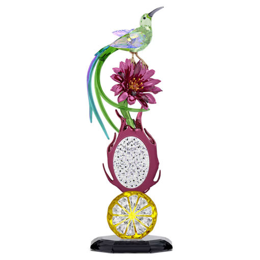 Swarovski figurer Idyllia Sugarbird and Dragon Fruit Totem - 5677289
