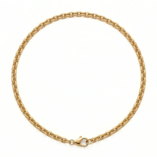 Herre kjede i forgylt sølv 50 cm - 21-FD150-50